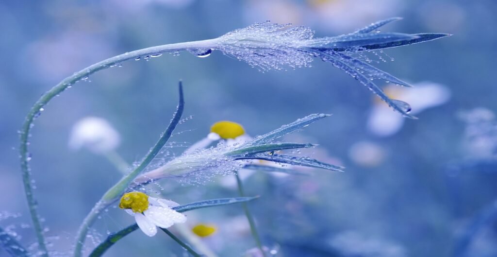 Dive into Inspiration: Quotes Archive on MyDearQuotes.com